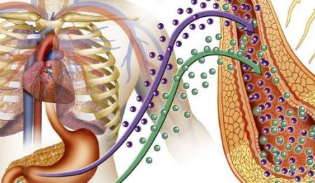 AFECȚIUNI DIGESTIVE & HEPATOBILIARE