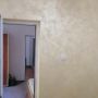 Apartamente Andi