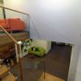 Aquarius Boutique Hotel