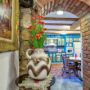 Casa Ambient