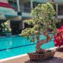 Complex Vox Maris Grand Resort
