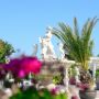 Complex Vox Maris Grand Resort