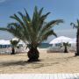 Hotel Alcor