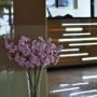 Hotel Alcor