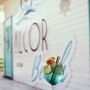 Hotel Alcor