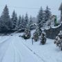 Hotel Alexandros