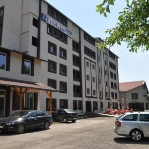 Hotel Ariesul