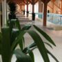 Hotel Ariesul