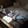 Hotel Belvedere Sovata - Camera Dubla Matrimoniala