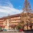 Hotel Bradul