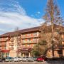 Hotel Bradul