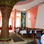 Hotel Bradul