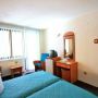 Hotel Bradul