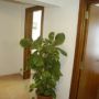 Hotel Comandor