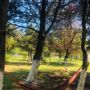 Hotel Corina