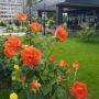Hotel Delfin