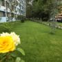 Hotel Delfin