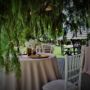 Hotel Elexus Boutique