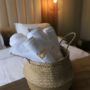 Hotel Elexus Boutique