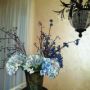 Hotel Excelsior Boutique