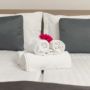 Hotel Fenyo