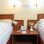 Hotel Fenyo