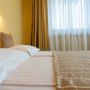 Hotel Fenyo