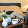 Hotel Fenyo