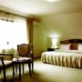 Hotel Hanul Muresenilor Sacele - Penthouse Deluxe