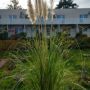 Hotel Iulia Resort