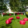Hotel Iulia Resort