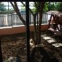 Hotel Jiul