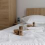 Hotel Mercur