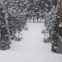 Hotel Miraj