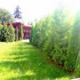 Hotel Miraj