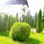 Hotel Miraj
