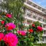 Hotel Mures