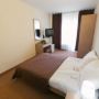 Hotel Mures