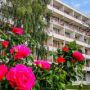 Hotel Mures