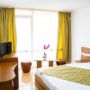 Hotel Mures