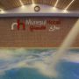 Hotel Muresul Health Spa