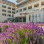 Hotel New Belvedere