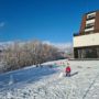 Hotel New Wolf