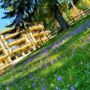 Hotel Ohma