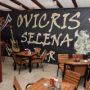 Hotel Ovicris Selena