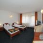 Hotel Paltinis