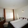 Hotel Paltinis