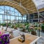 Hotel Phoenicia Royal