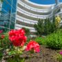 Hotel Raluca