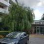 Hotel Scoica